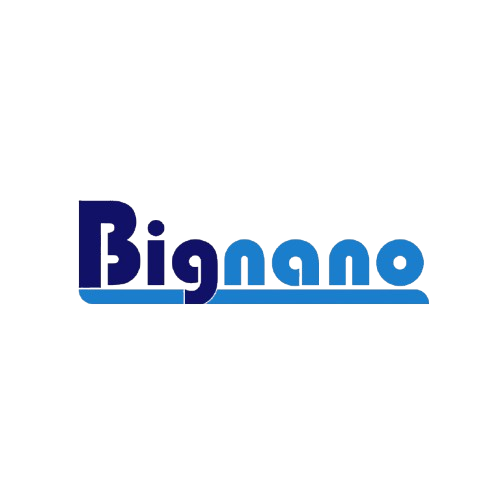 Bignano Ventures Private Limited