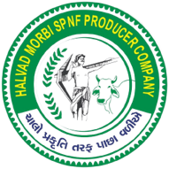 Halvad Morbi SPNF Producer Company Limited