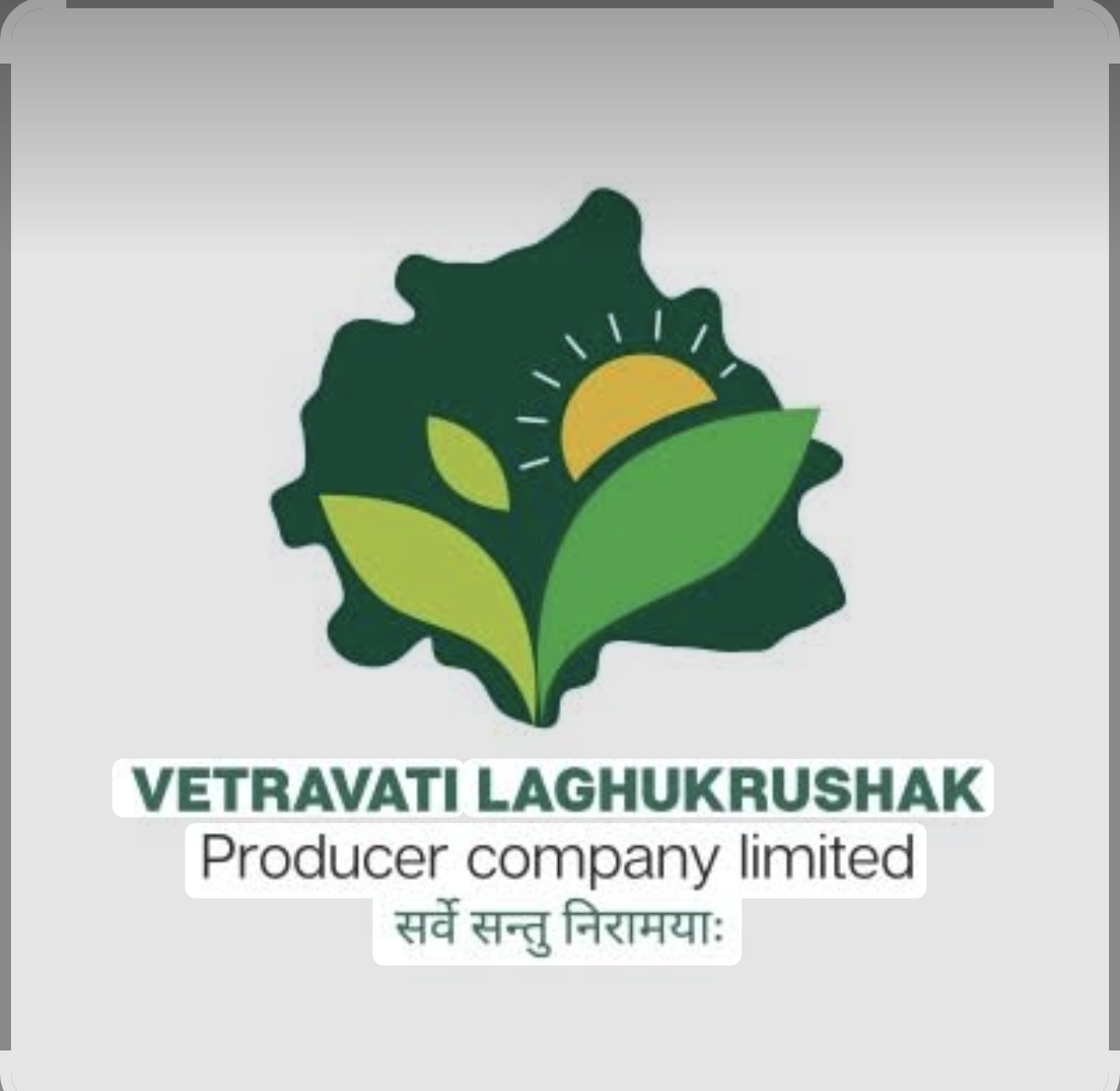 Vetravati Laghukrushak Producer Company Limited